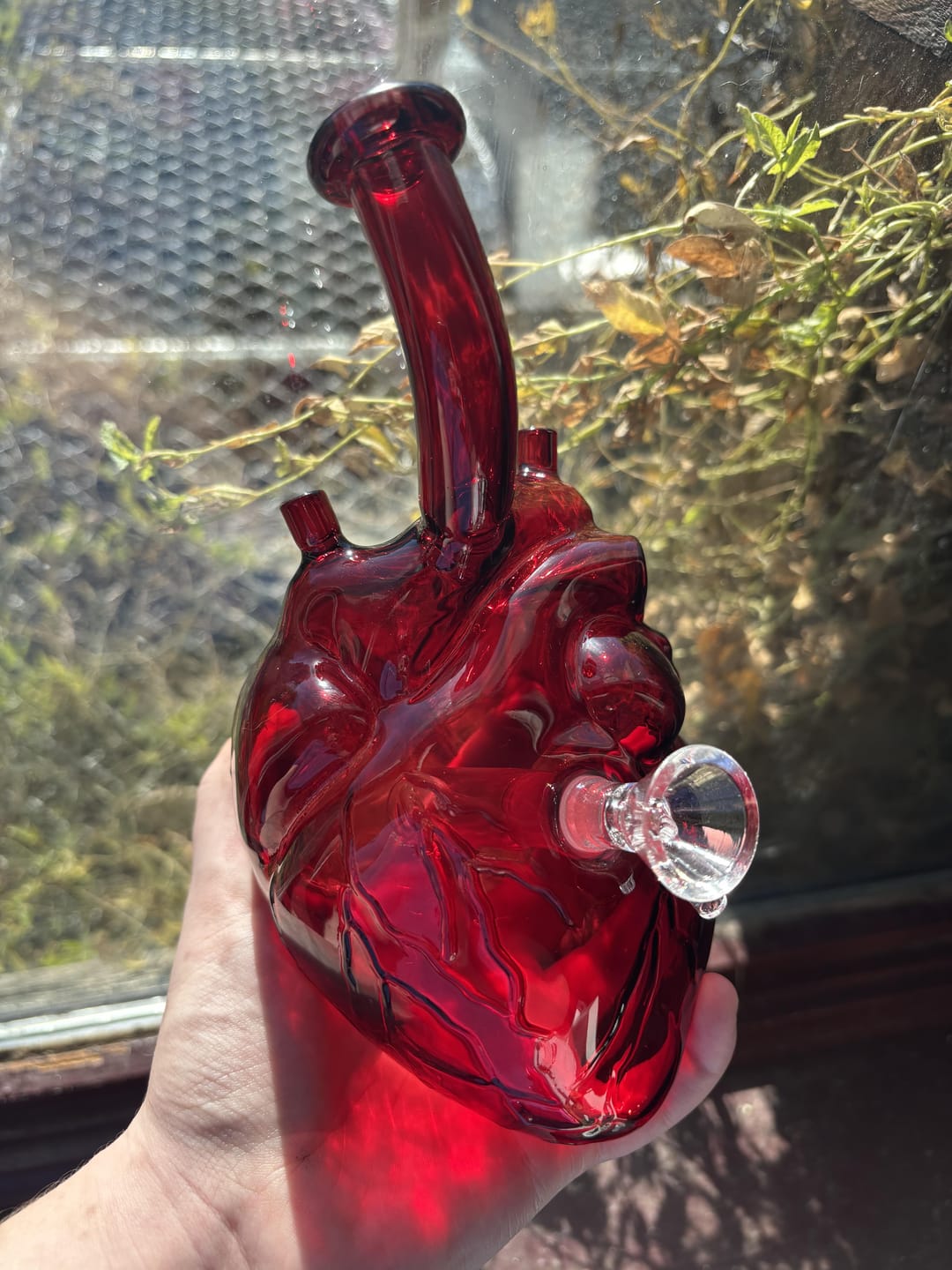 Customer photo review of ANATOMICAL HEART BONG