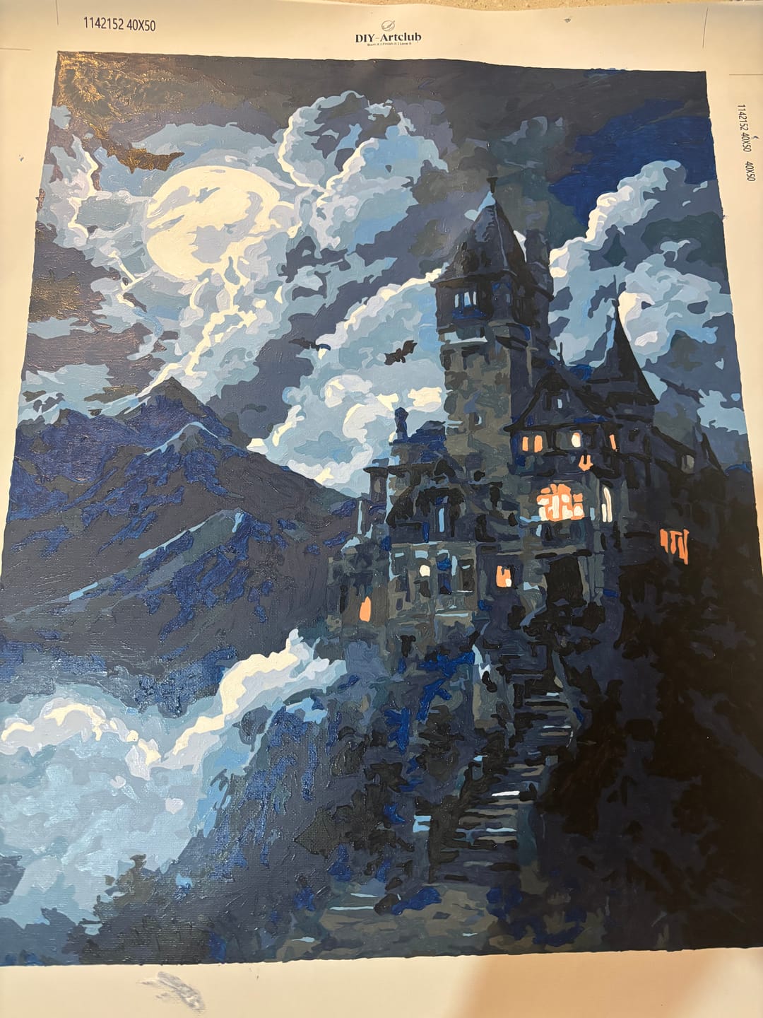Customer photo review of Dracula`s mansion | Paint by Number