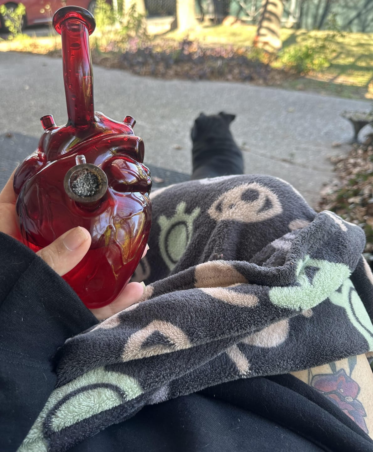 Customer photo review of ANATOMICAL HEART BONG