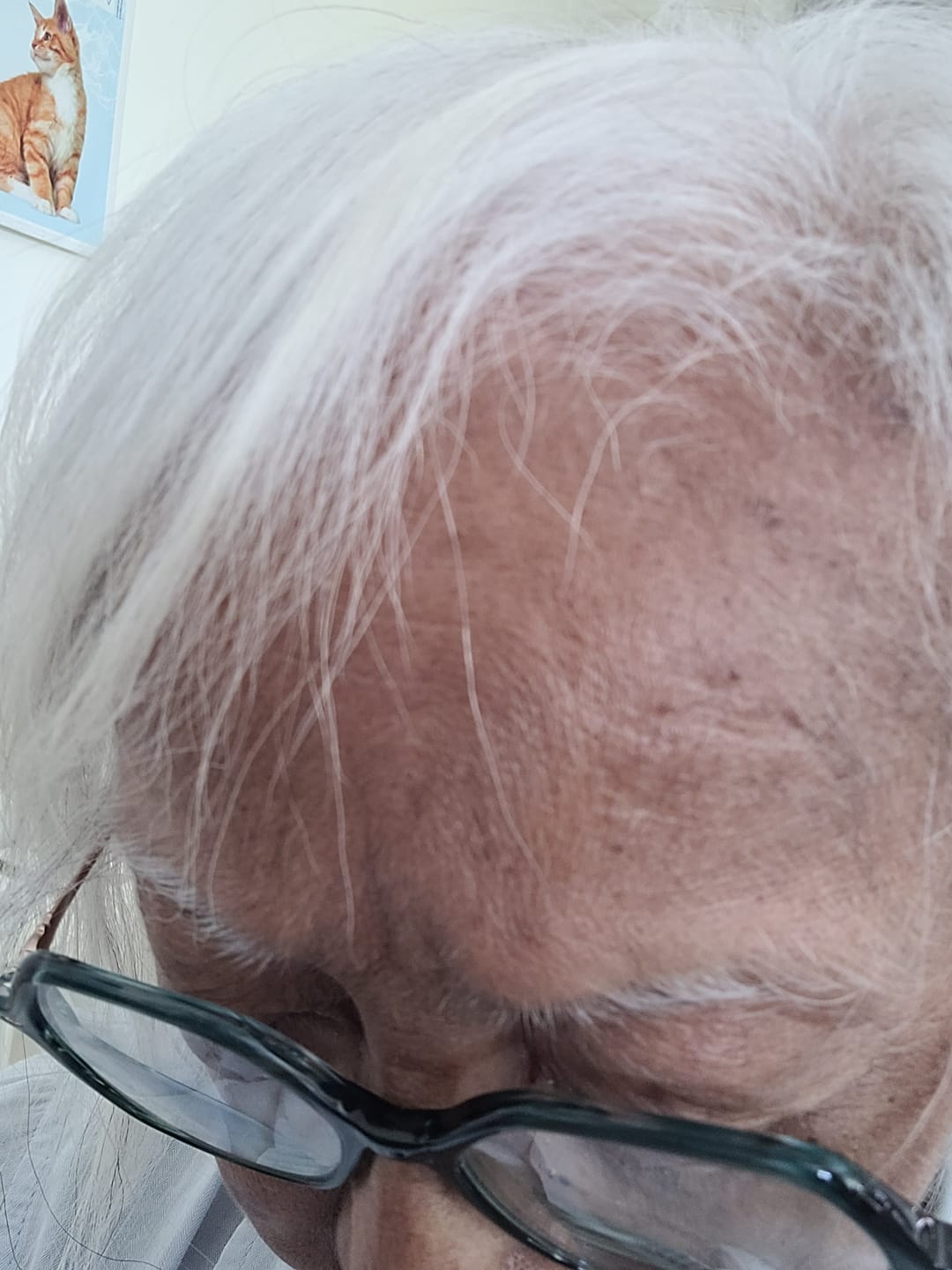 Customer photo review of SHAMPOING NATUREL AU ROMARIN ET À LA KÉRATINE — POUR DES CHEVEUX PLUS ÉPAIS ET PLUS VOLUMINEUX