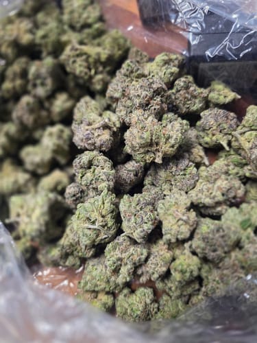 Boutique Exotics Obama Runtz - Bulk - Hybrid photo review