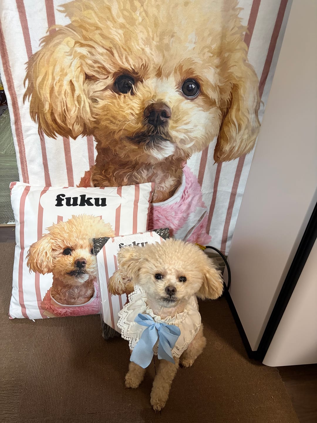 Customer photo review of Petcanva® 品質補償サービス