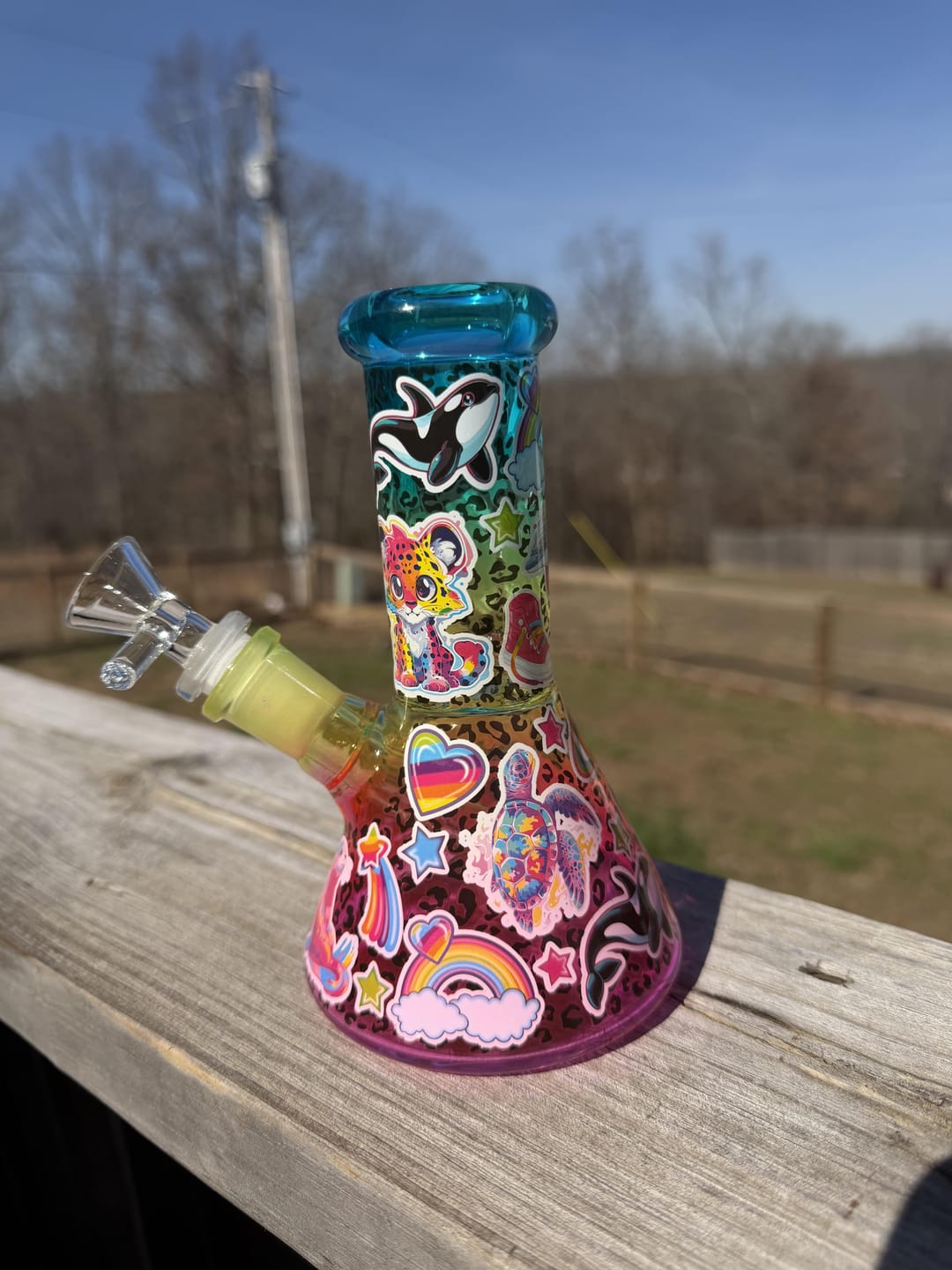 Customer photo review of RAINBOW ANIMALS BONG 6"