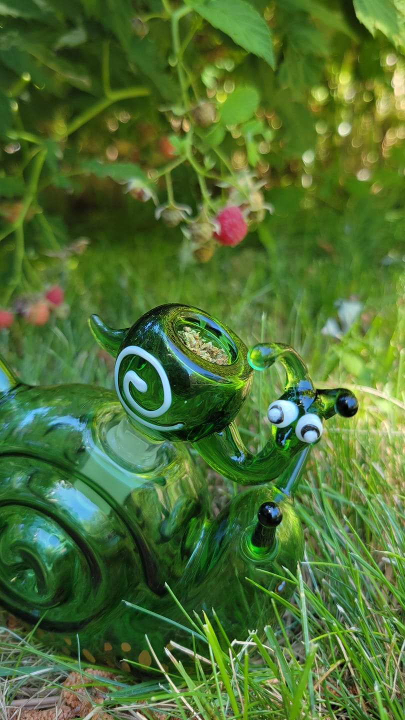 Customer photo review of SNAIL BOWL