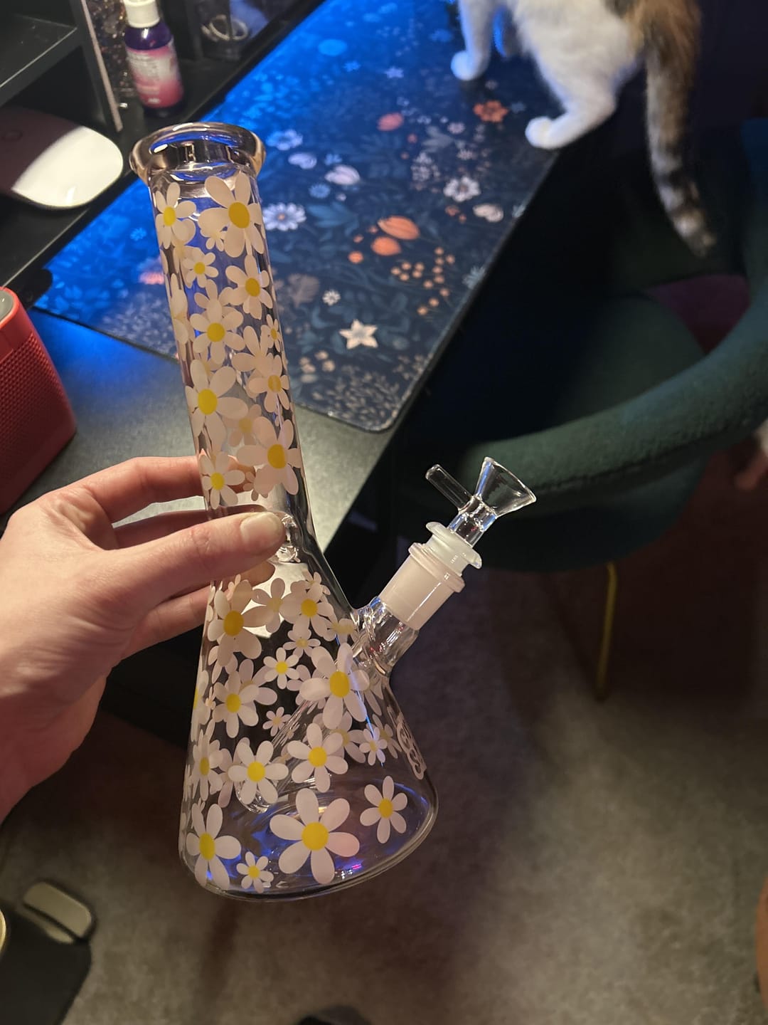 Customer photo review of RETRO DAISY BONG 10"