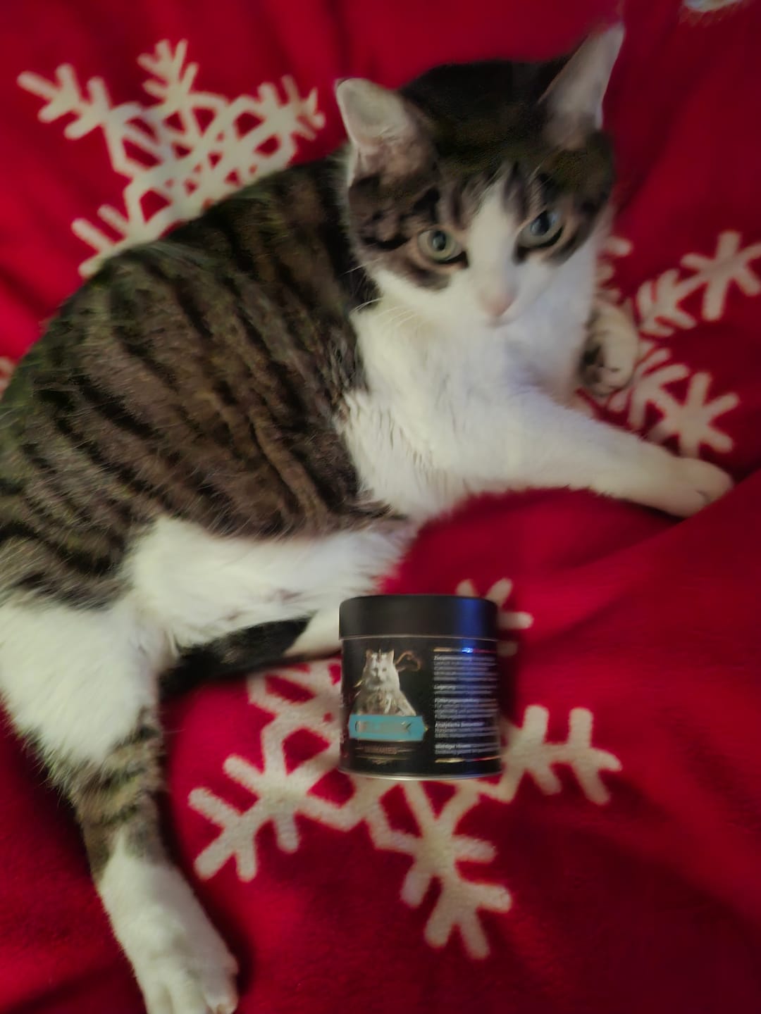 Customer photo review of Gelenk Gummies