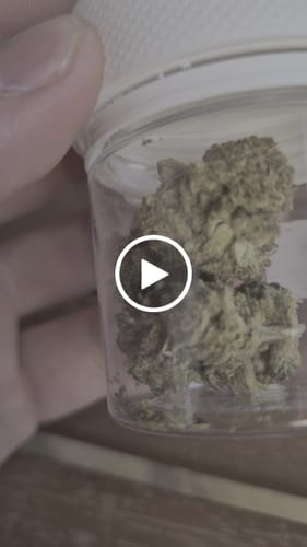 Customer video review of CALI MIX AAA+ – Premium Selection