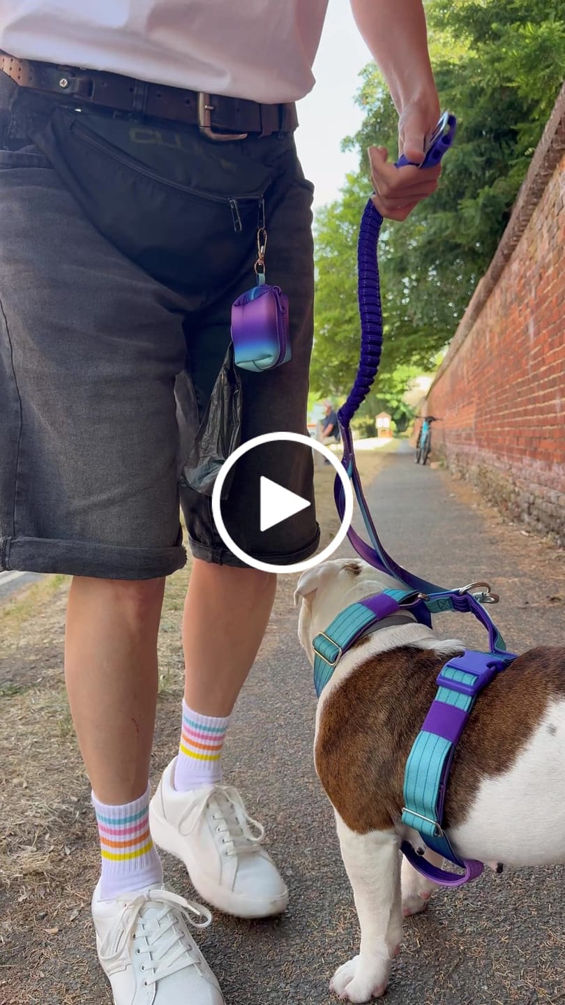 Customer video review of Multipurpose Seatbelt Handsfree Leash & Poop Bag Holder Set - 90s Retro