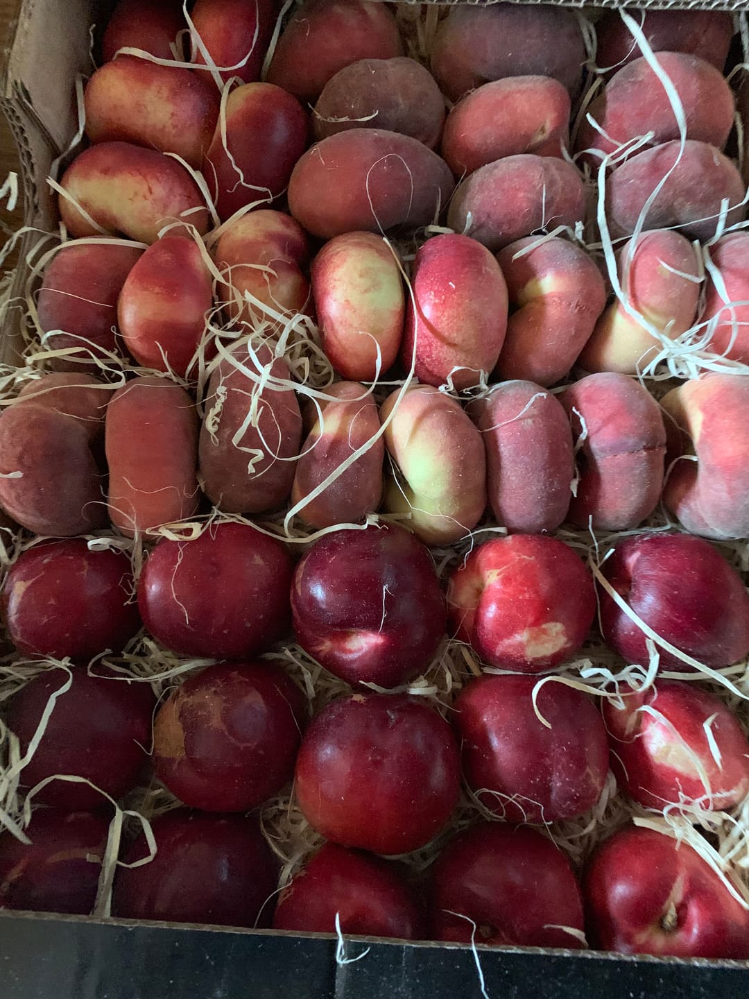 Customer photo review of Weinbergpfirsiche & Tellernektarinen Bio von Jose