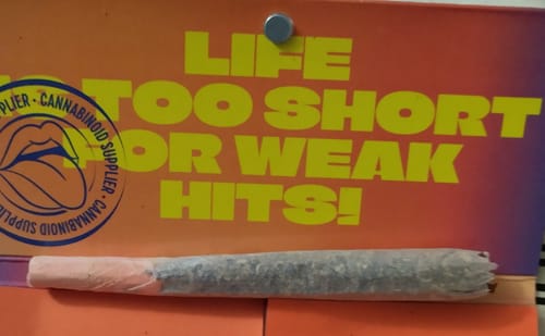 Customer's thick joint rolled with White Russian THCA Flower, displayed in front of a colorful sign.