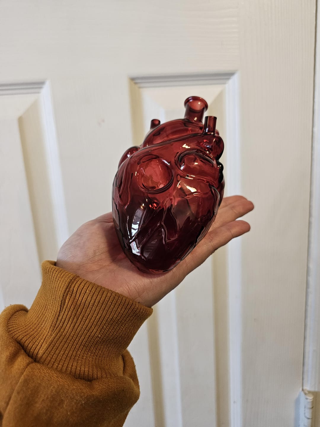 Customer photo review of ANATOMICAL HEART PIPE