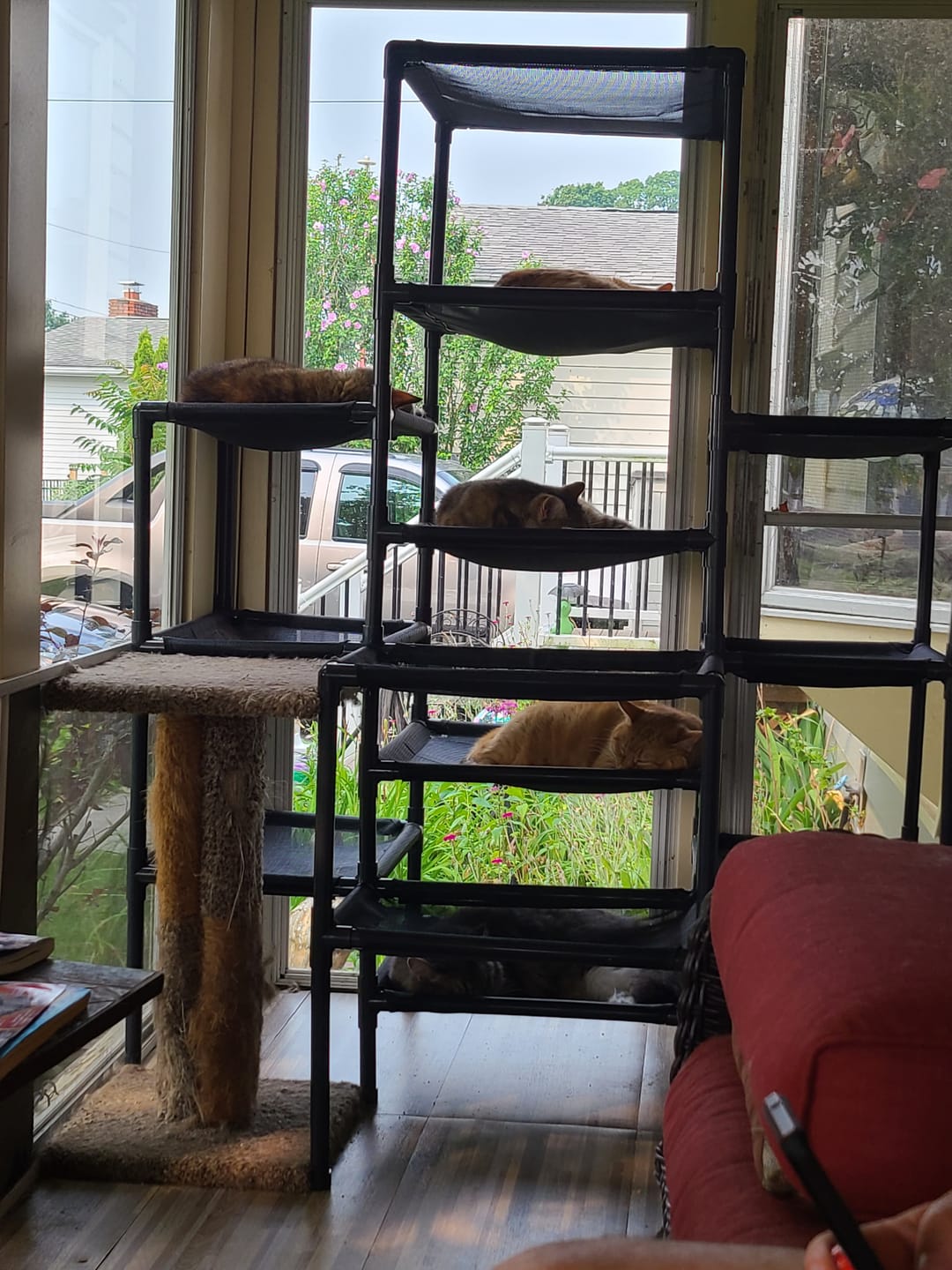 Customer photo review of Durable Cat Tower | Peak