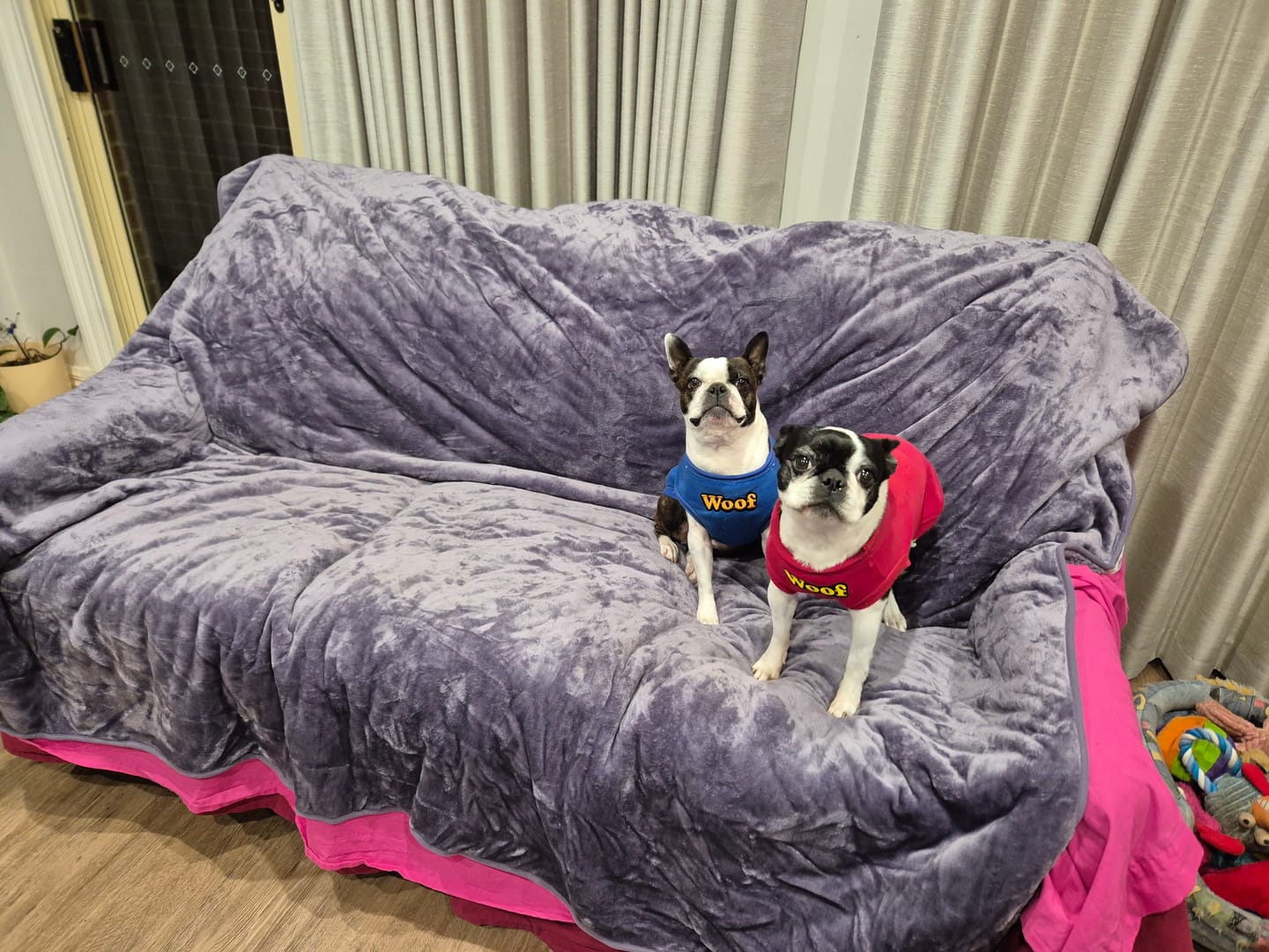 Customer photo review of Waterproof Splash Blanket™ - Purple Smoke The OG - Same Colour Sherpa