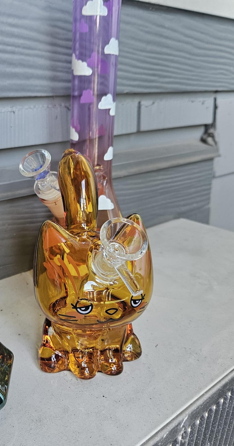 Customer photo review of CANNACAT BUBBLER