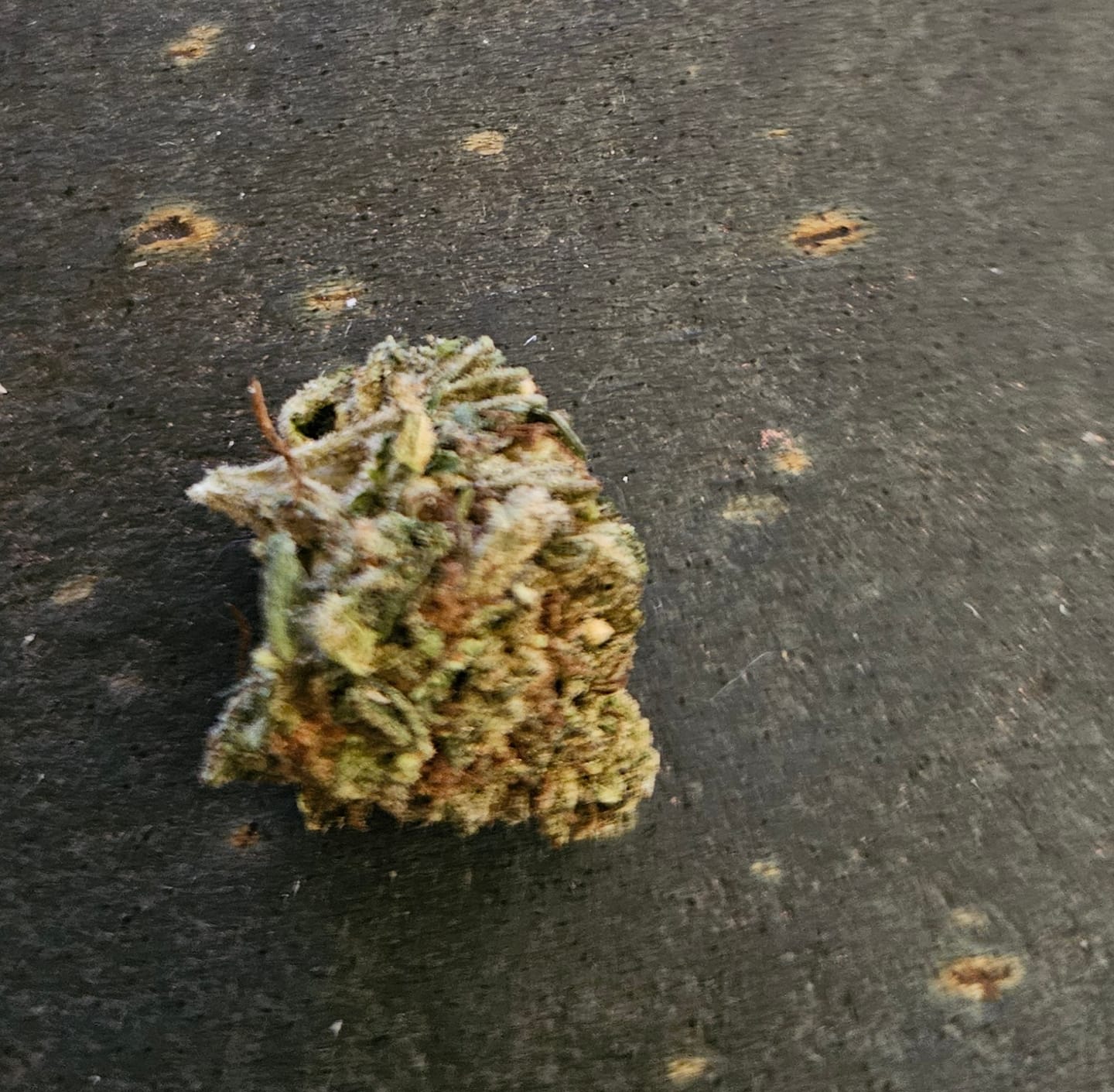 Customer photo review of Hella Jelly - 28 Grams - Sativa