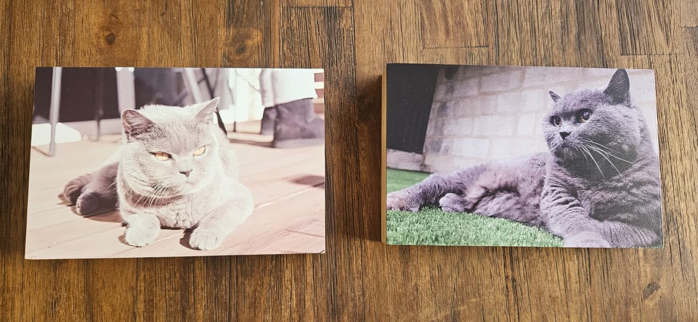Customer photo review of Bamboo Rectangle
