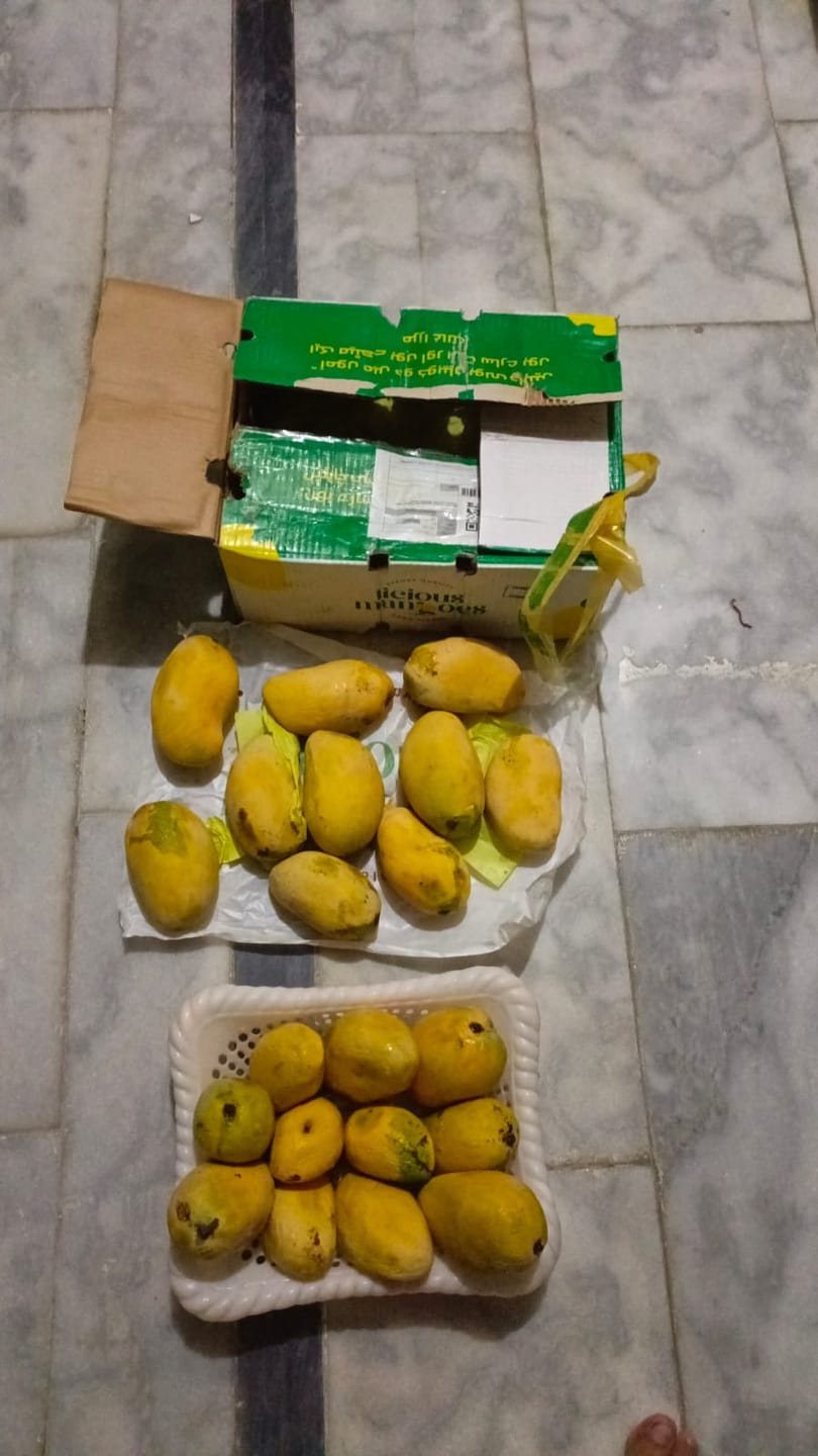 Customer photo review of Multan's Chaunsa Mango (From 1st of July)