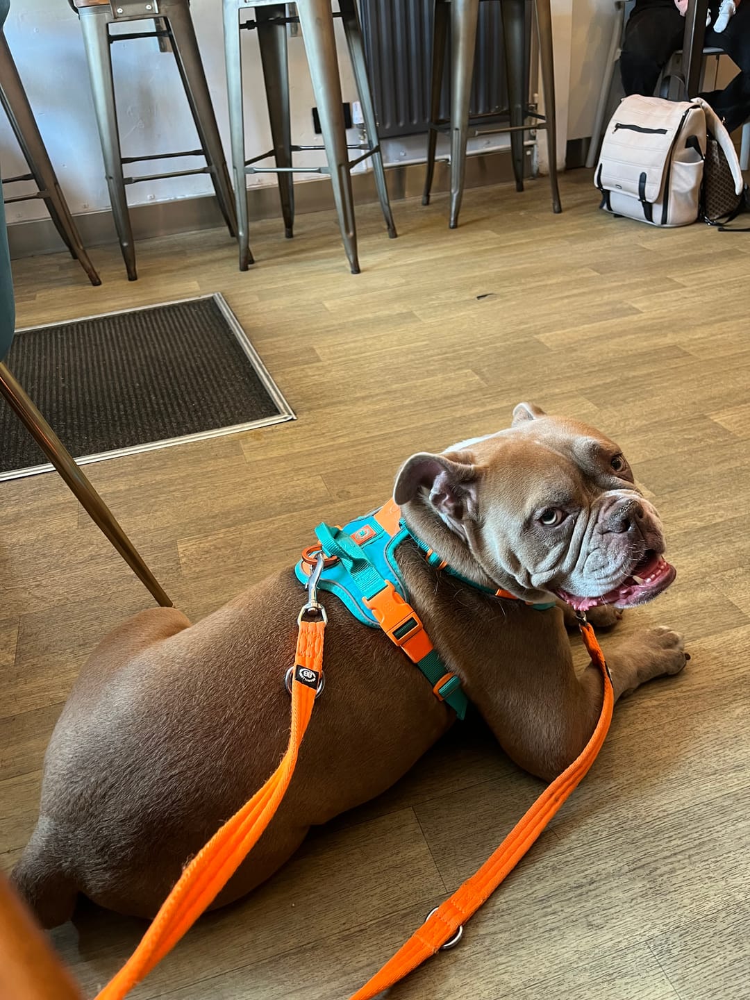 Customer photo review of Anti Pull Hurricane Harness Lighter | With Handle - Turquoise X Orange