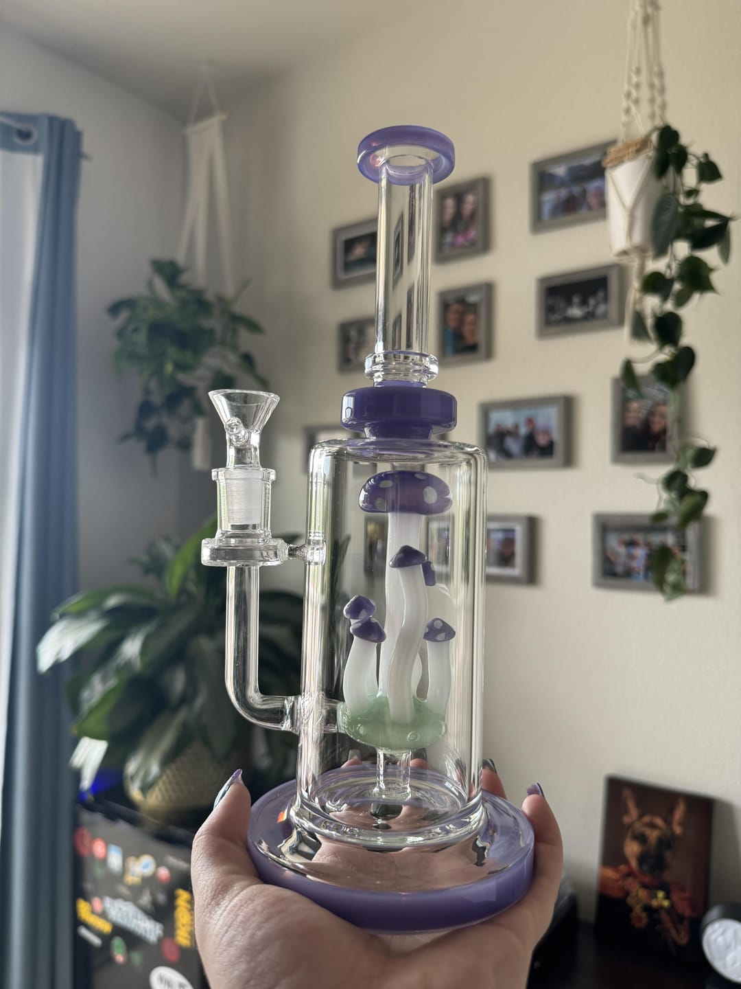 Customer photo review of MUSHROOM TERRANIUM BONG