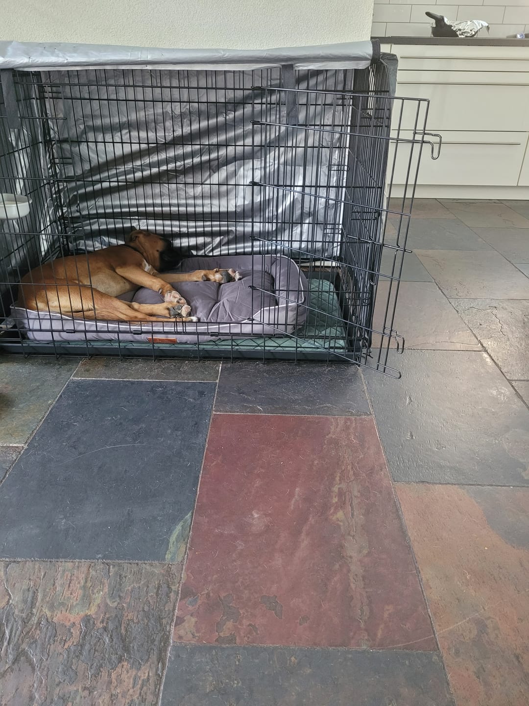 Customer photo review of Pet Perfect Hondenkussen - Benchkussen - Waterafstotend
