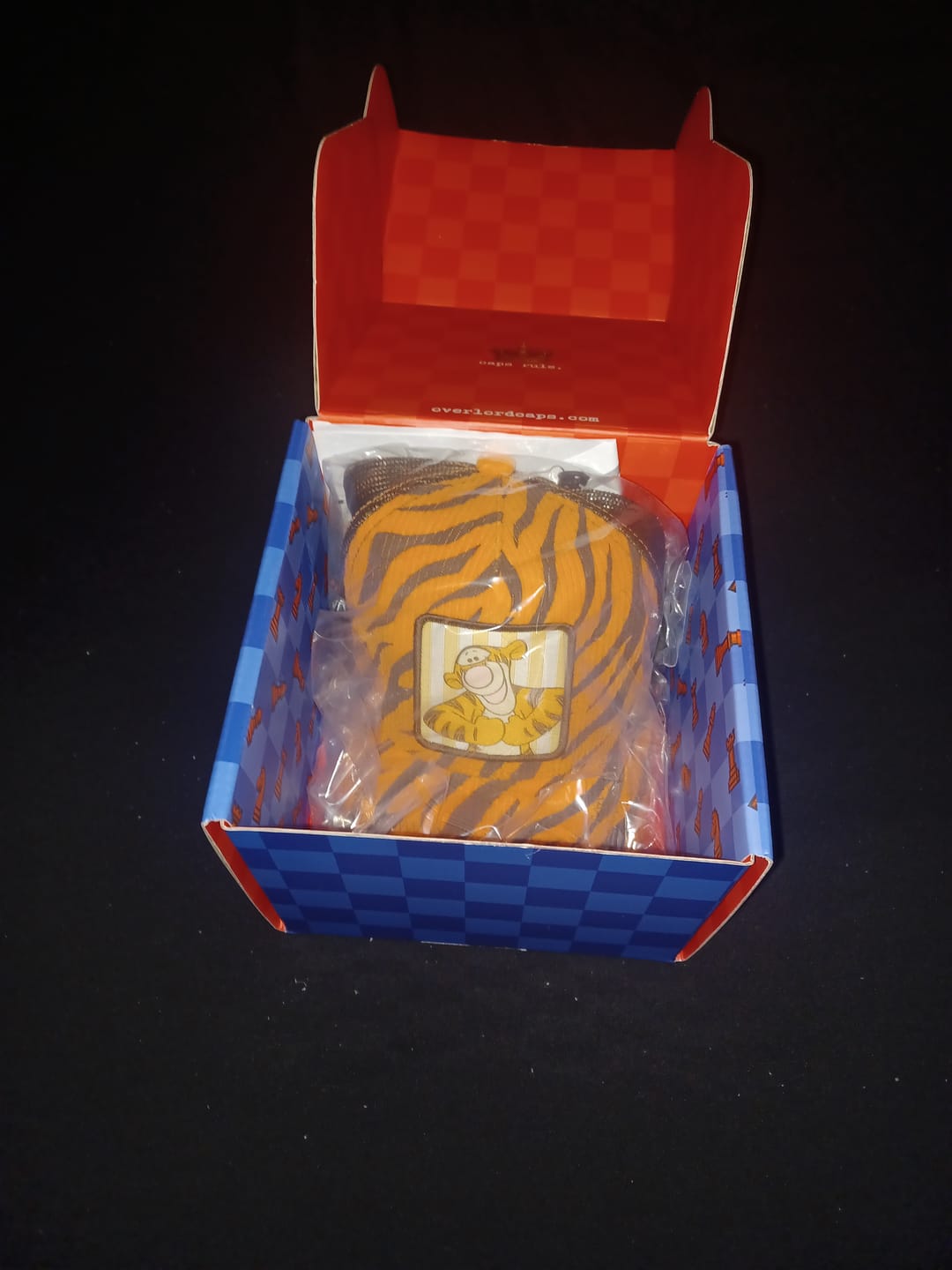 Customer photo review of OVERLORD x Winnie the Pooh - Tigger