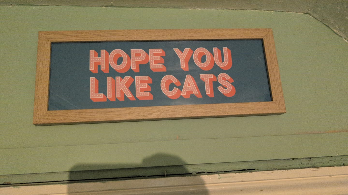 Customer photo review of Hope You Like Cats Framed Print (New Style)