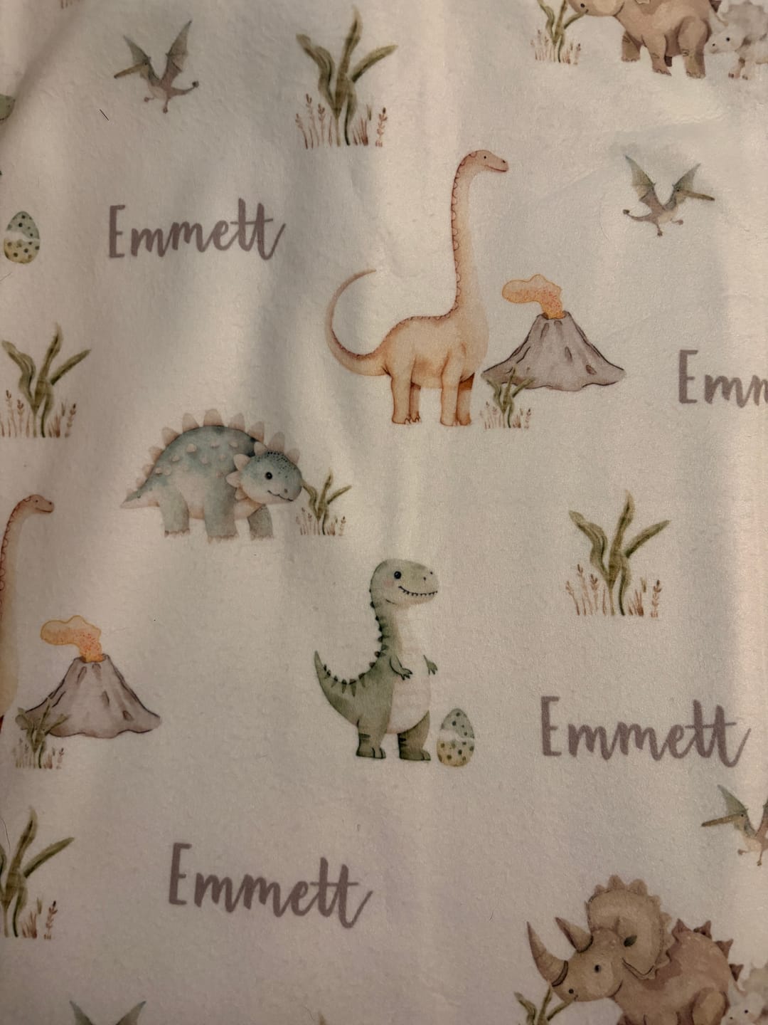 Customer photo review of Dinosaur daydream personalized baby blanket