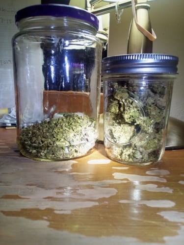 Customer photo review of Dank Work THCA Trim