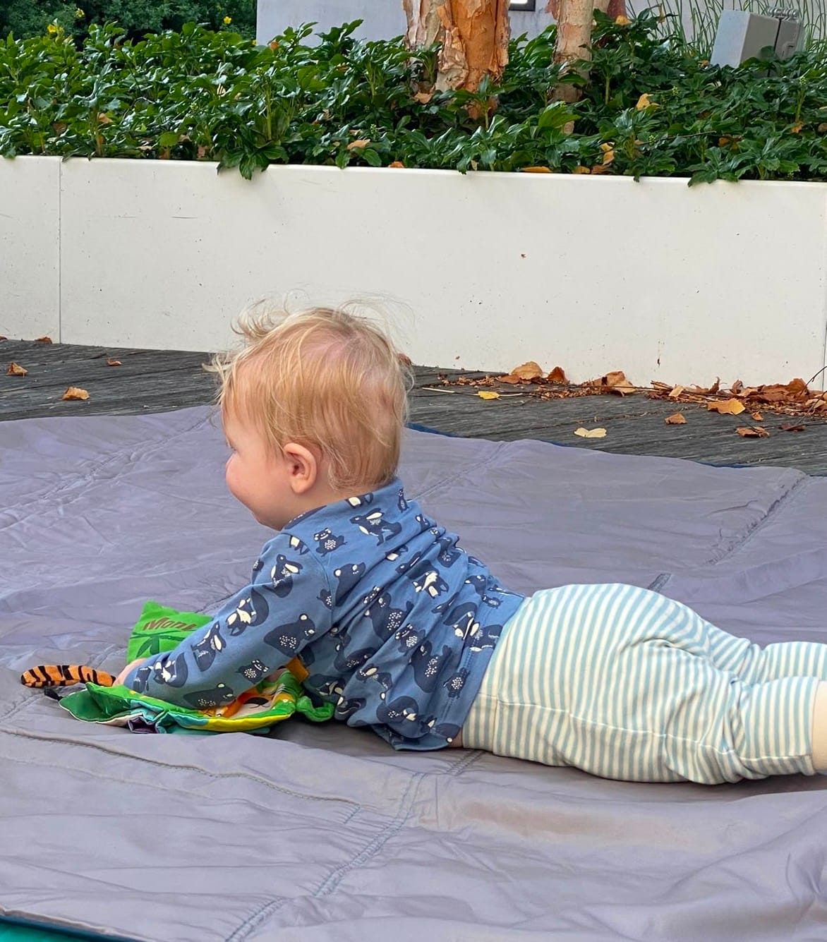 Customer photo review of Midnight Animals Organic T-Shirt & Jogger Playset