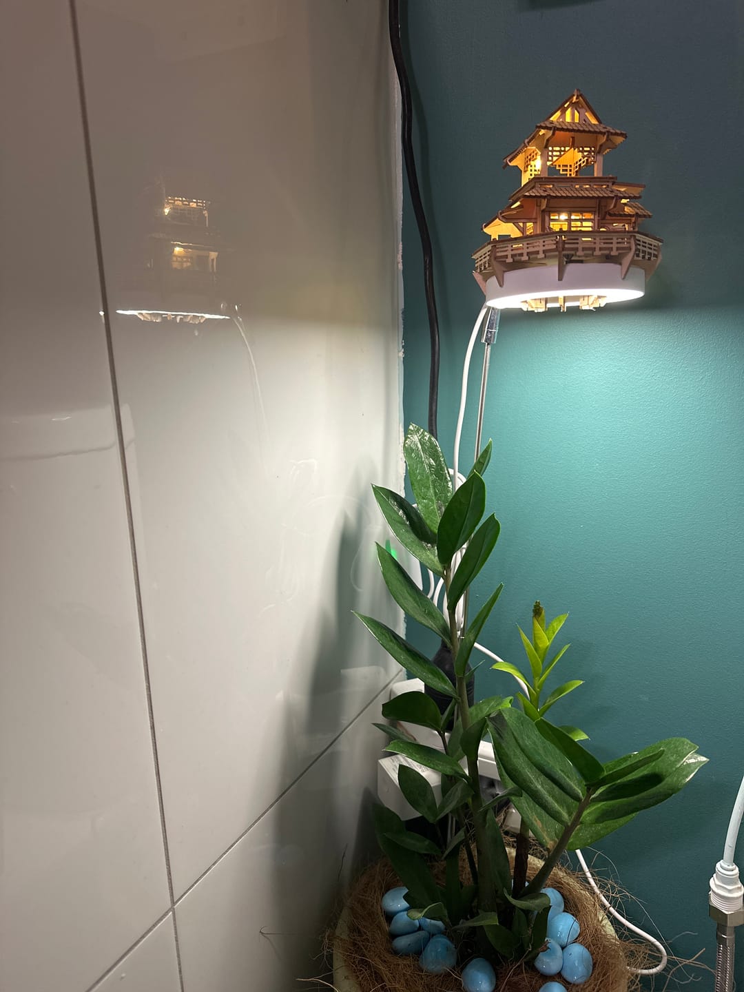 Customer photo review of Sunrise Terrace + Grow Light