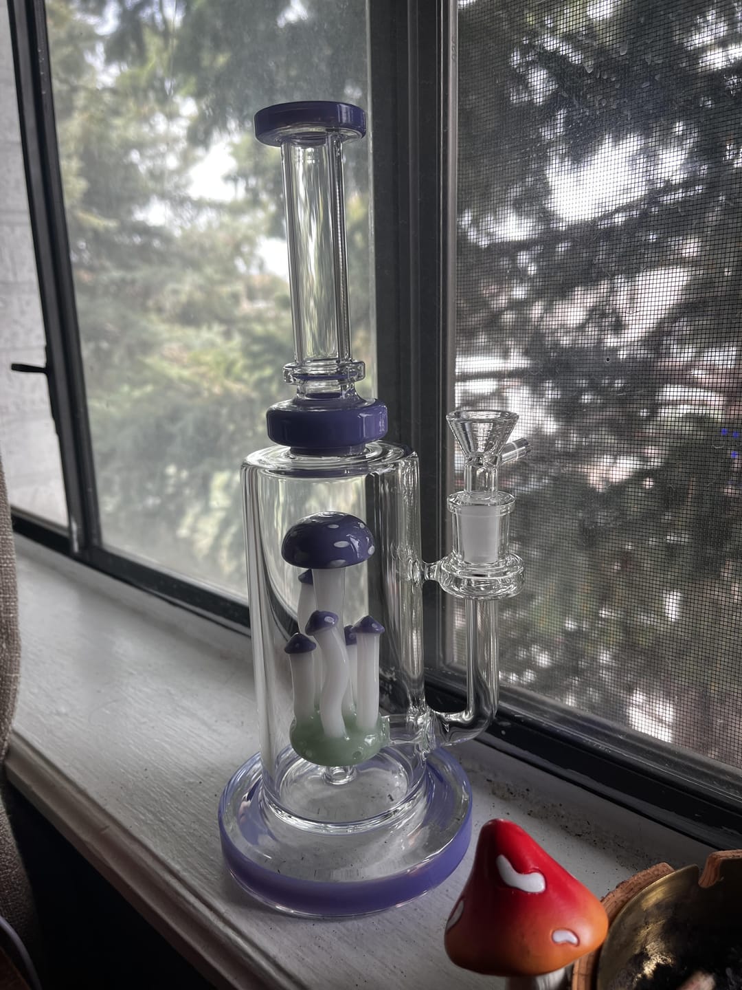 Customer photo review of MUSHROOM TERRANIUM BONG