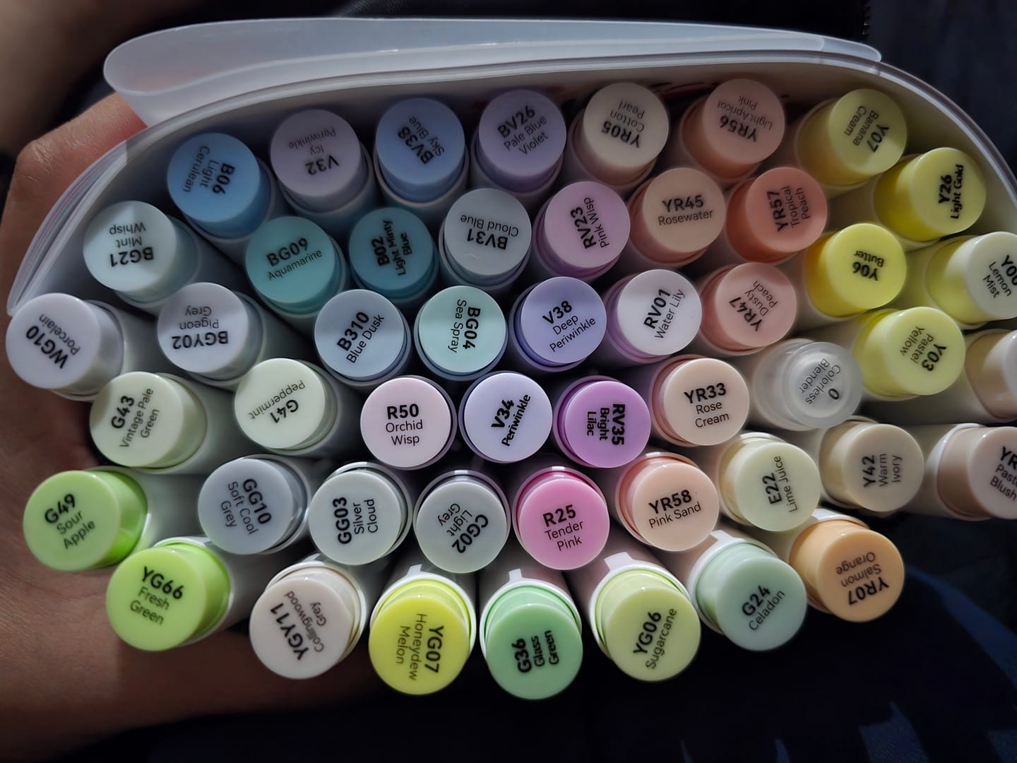 Customer photo review of Ohuhu Honolulu New 48 Pastel Colors Dual Tips Alcohol Art Markers - Blossoming (New Color Codes)
