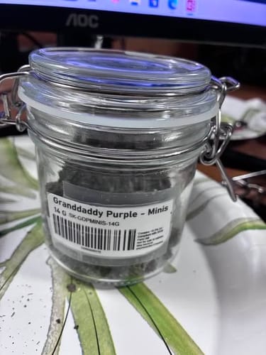 Granddaddy Purple - Minis - 14 Grams - Indica photo review