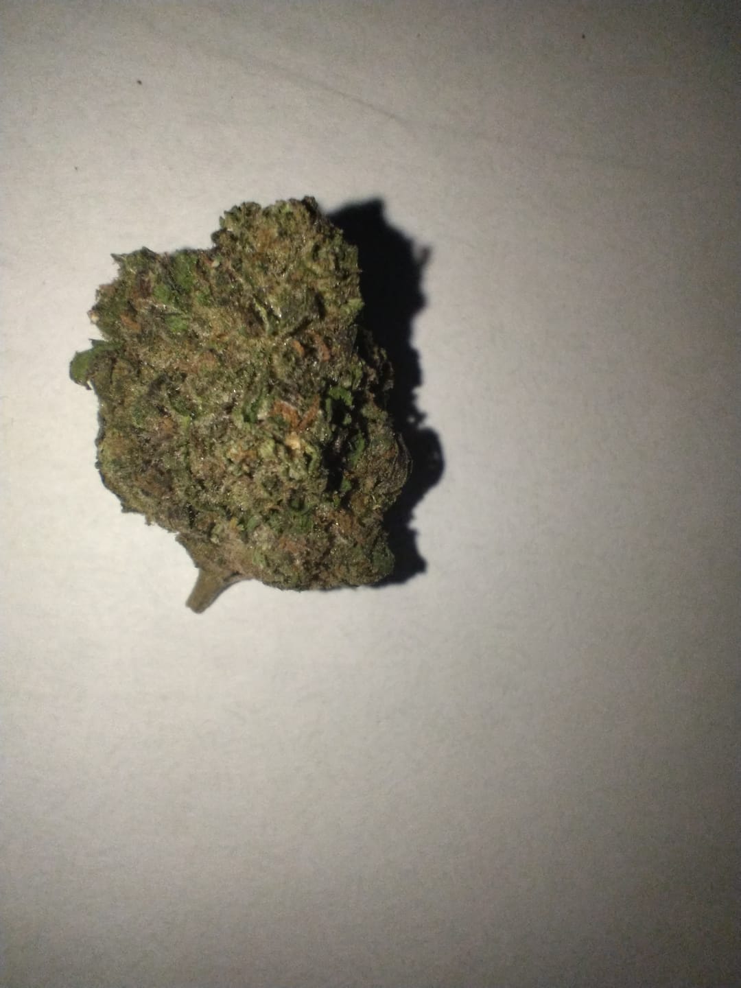 Customer photo review of Royal Gas Indoor THCA