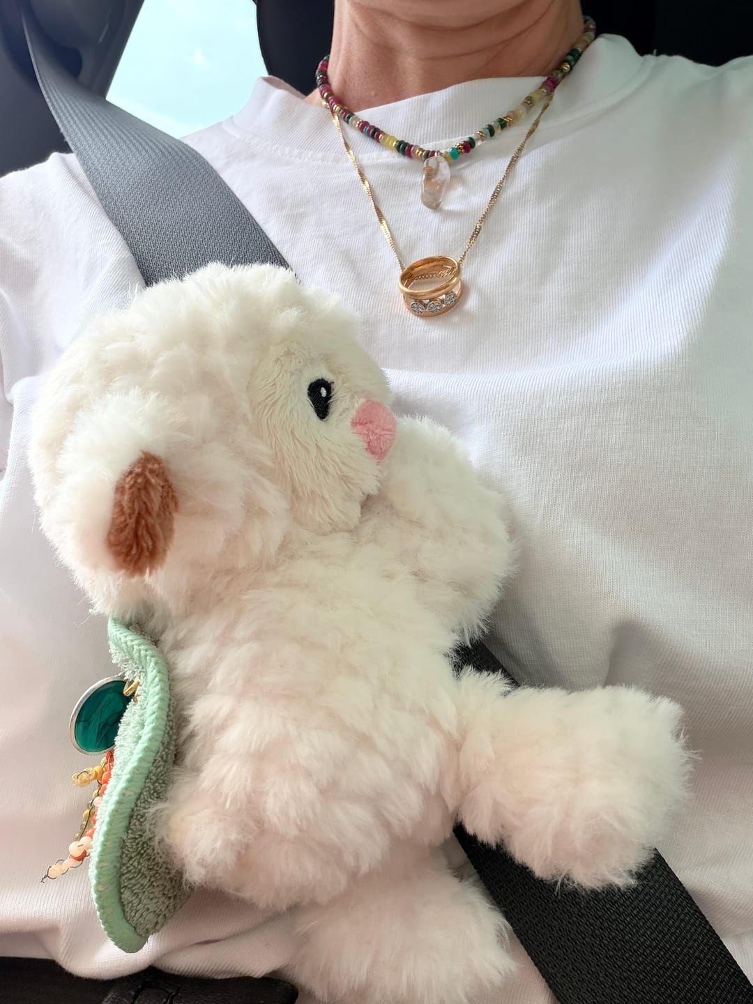 Customer photo review of Mini Lotgenootje Schaap