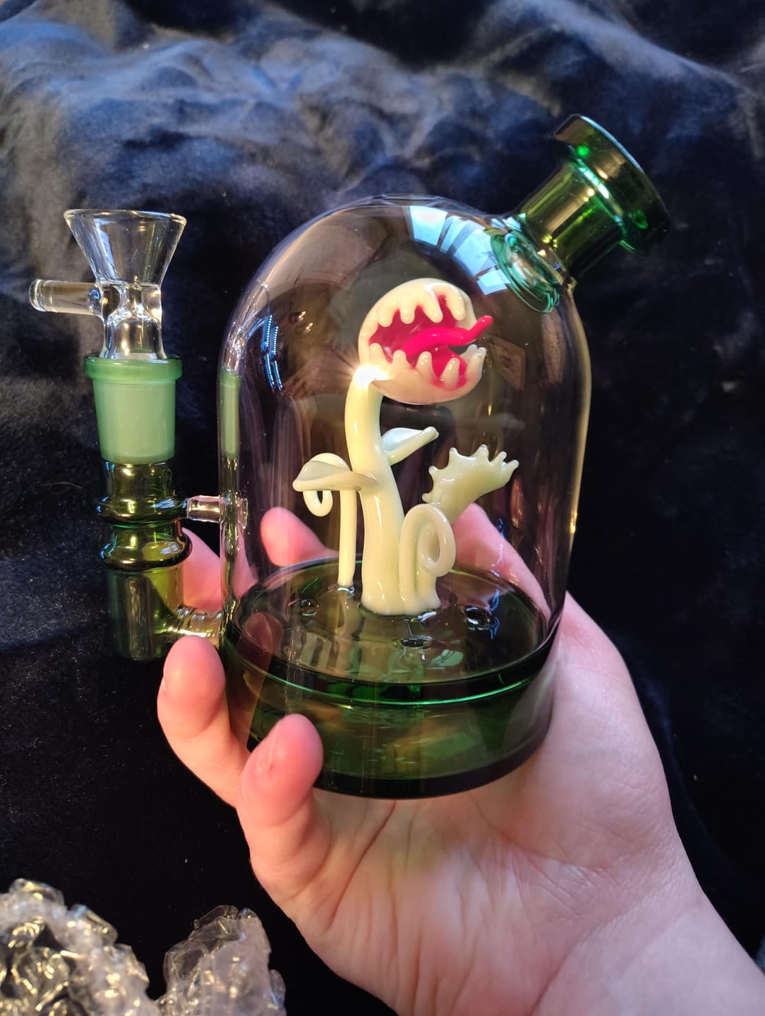 Customer photo review of VENUS FLY TRAP CLOCHE BONG