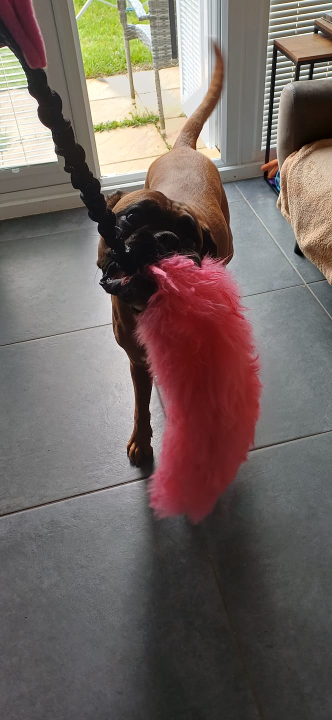 Customer photo review of The Mega Baa COLOURS