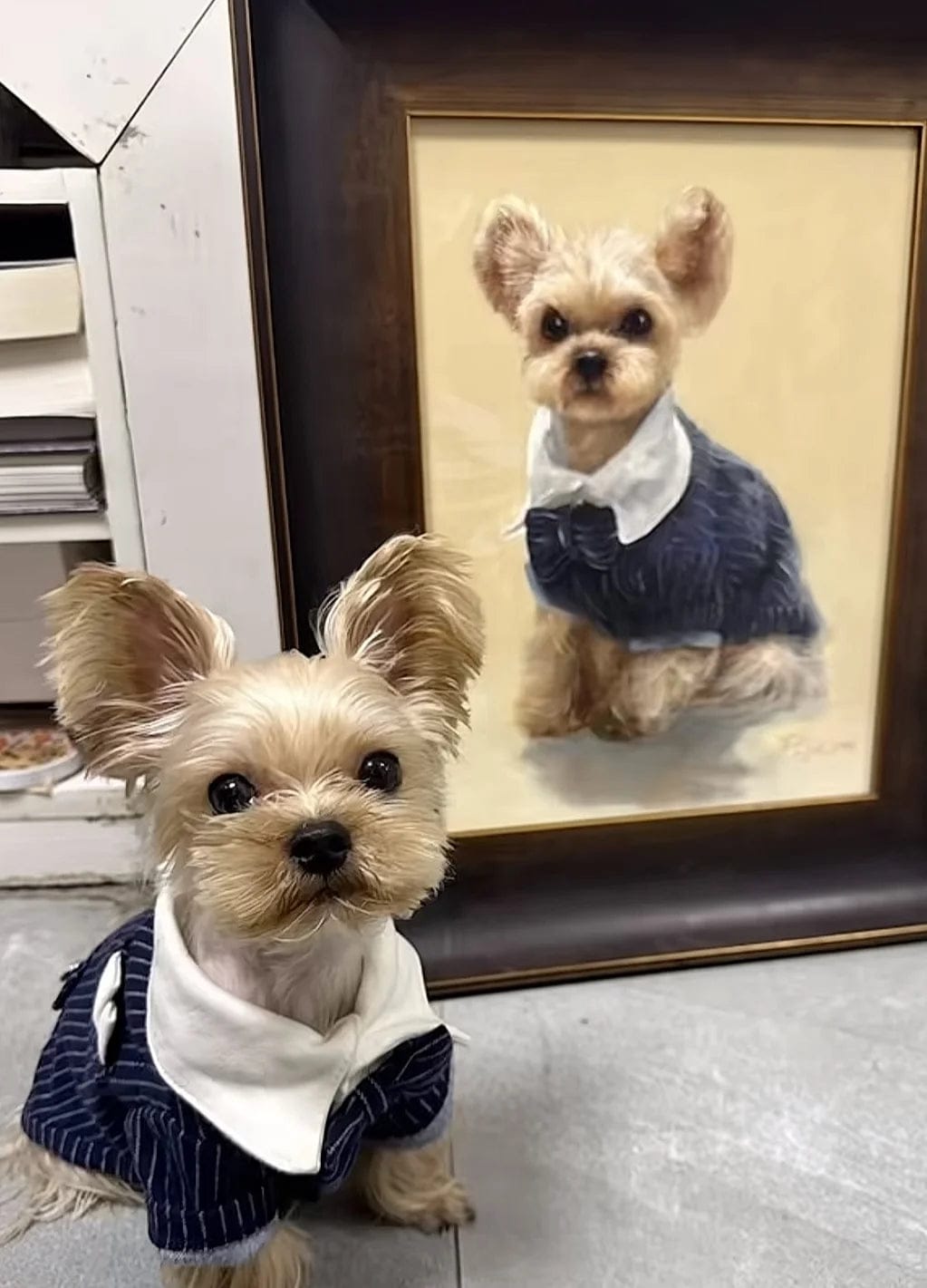 Customer photo review of Modern Pet Portrait | Hand-painted Pet Portrait
