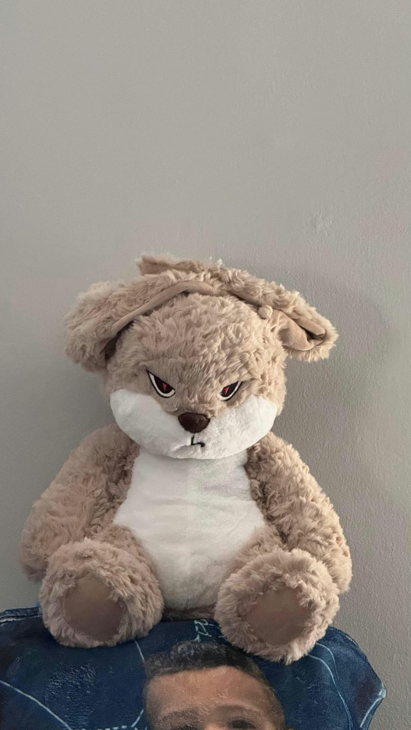 Customer photo review of Broody™, el conejito con más actitud 😠