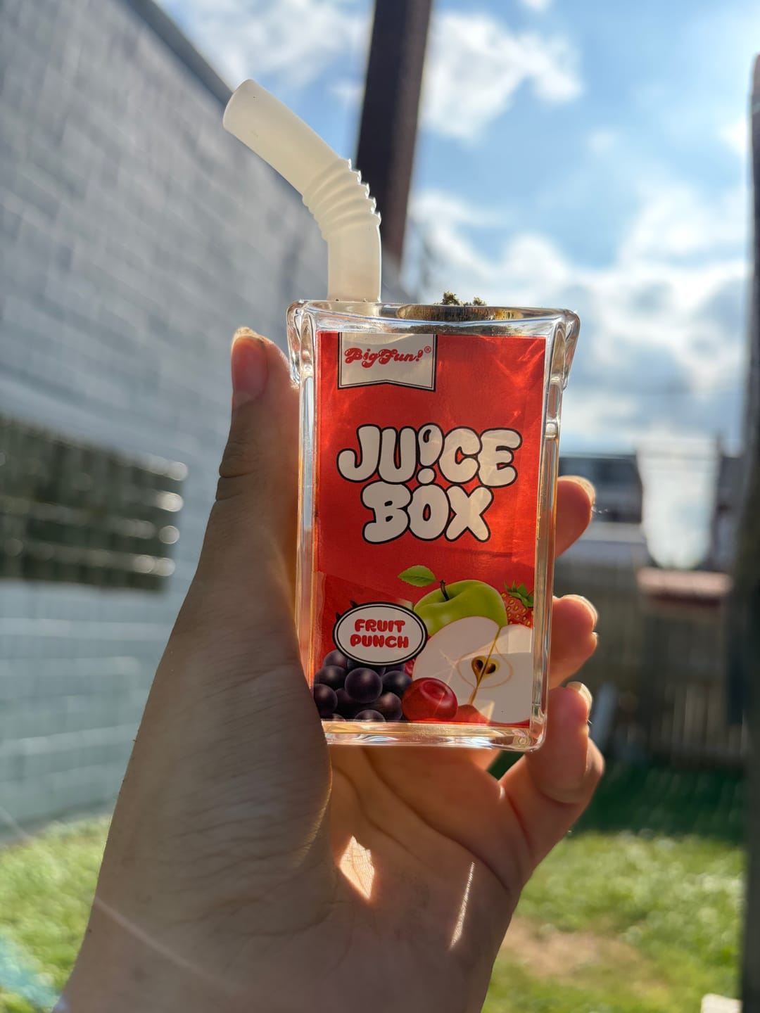 Customer photo review of Juice Box Bubbler
