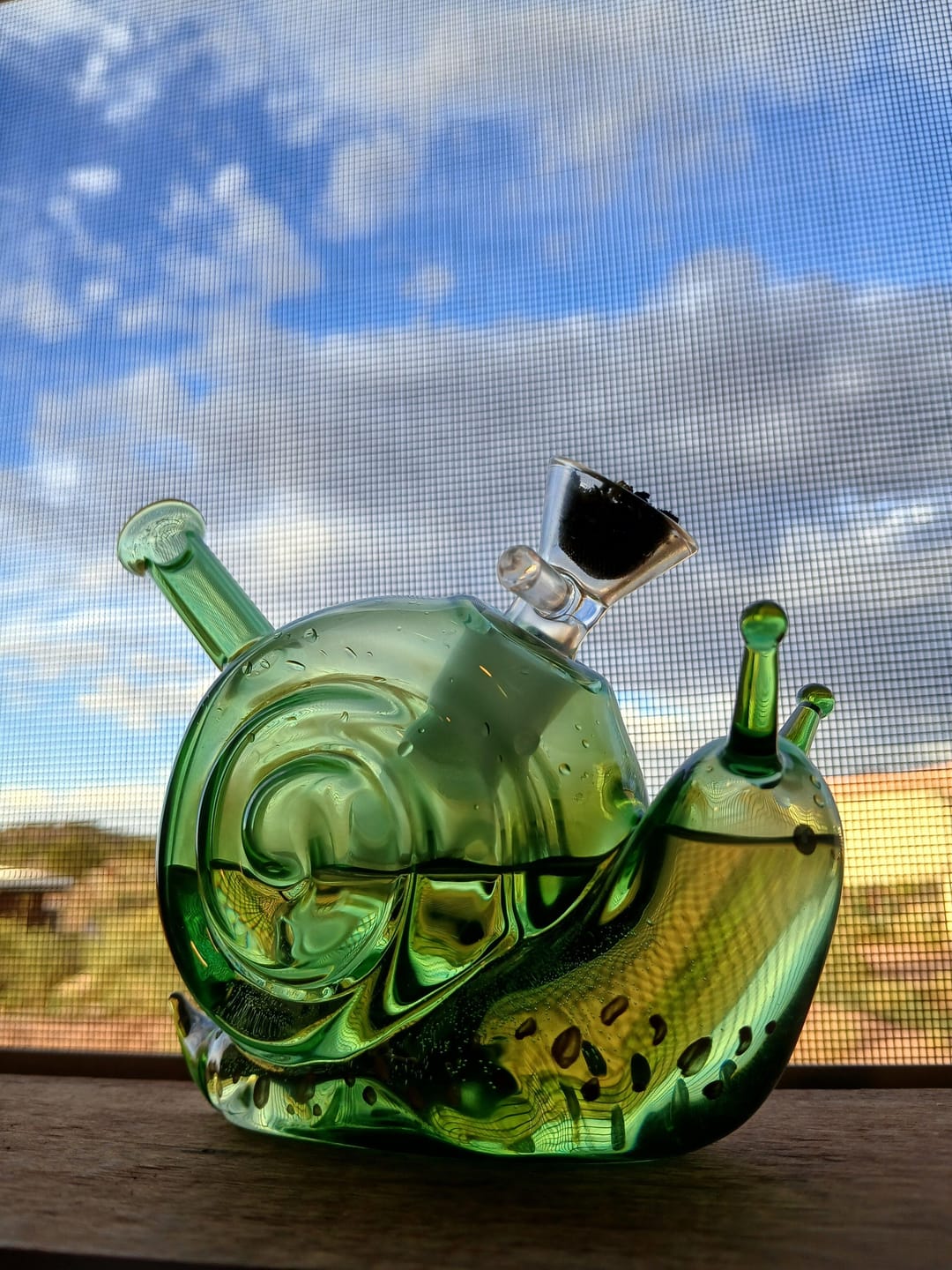 Customer photo review of SNAIL BUBBLER