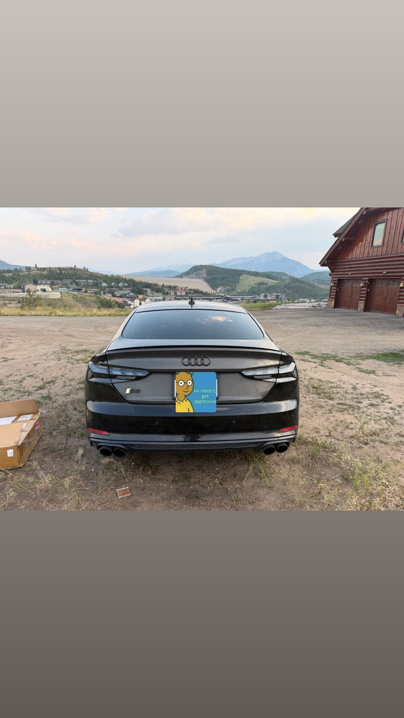 Customer photo review of Audi B9 Facelifted Tail Light (Coupes and Sportbacks)