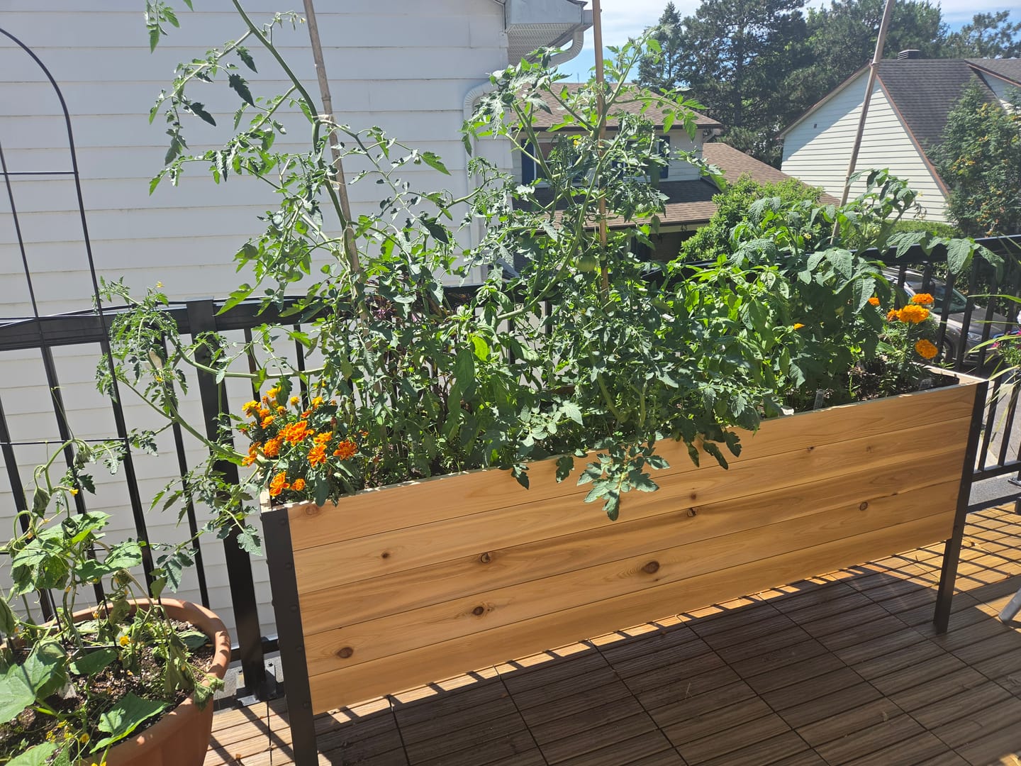 Customer photo review of 18" x 72" Raised Garden Bed - 30" TALL / Select Grade