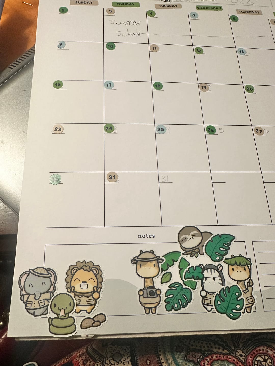Customer photo review of Rainforest, Savannah, and The Outback Sticker Sheets (Set of 3)