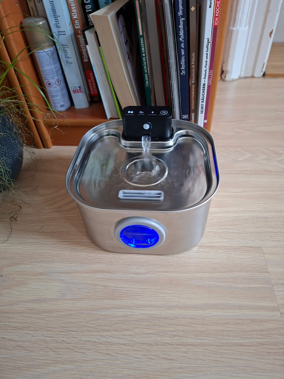 Customer photo review of PfotenBrunnen™ - Katzenwasserspender