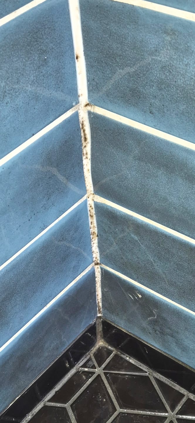 Customer photo review of GLASSGUARD® Miracle Mould Removal Gel