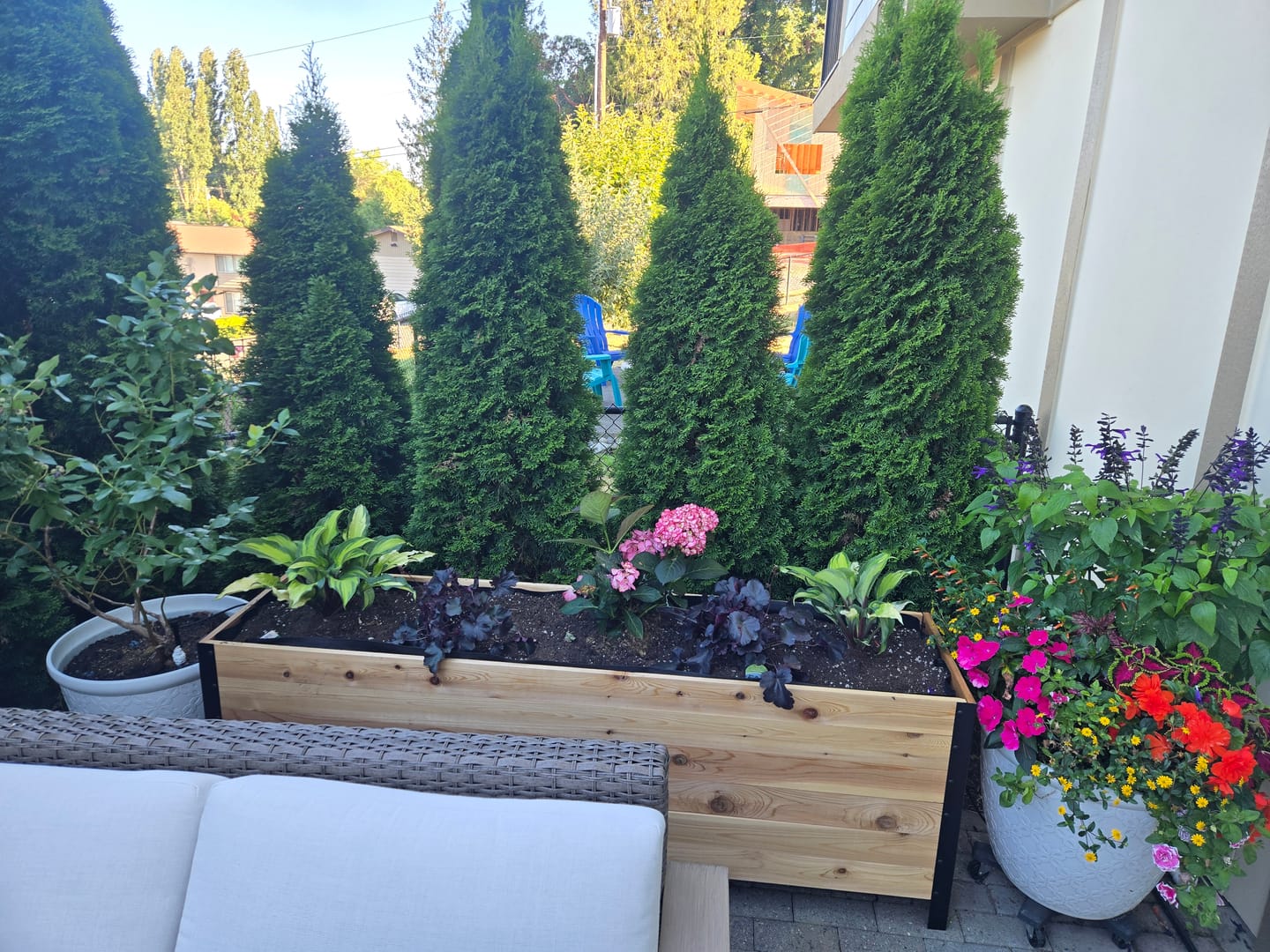 Customer photo review of 18" x 72" Planter Box - 24" TALL / Select Grade
