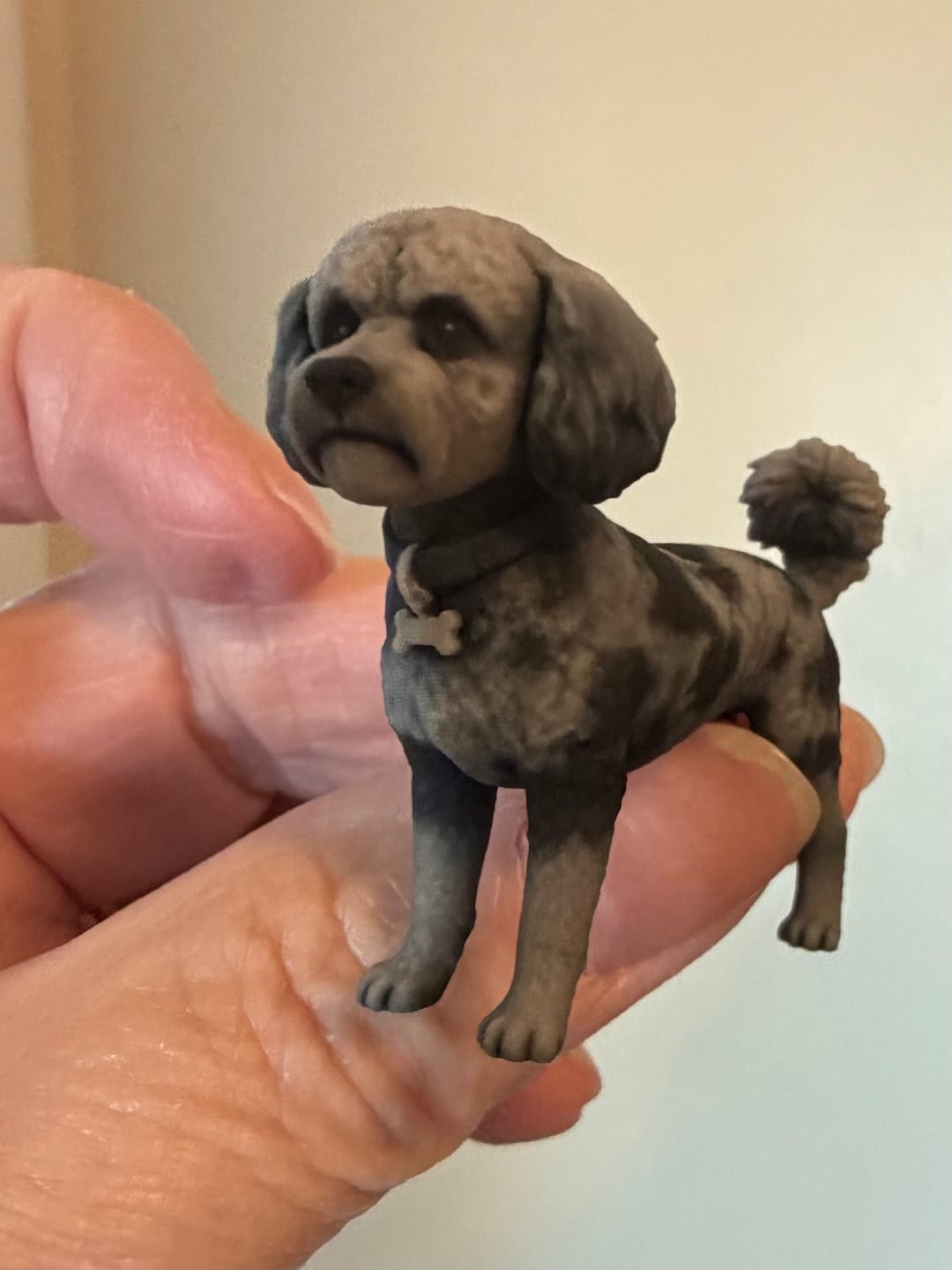 Customer photo review of Personalized Pet 3D Figurine from Photo