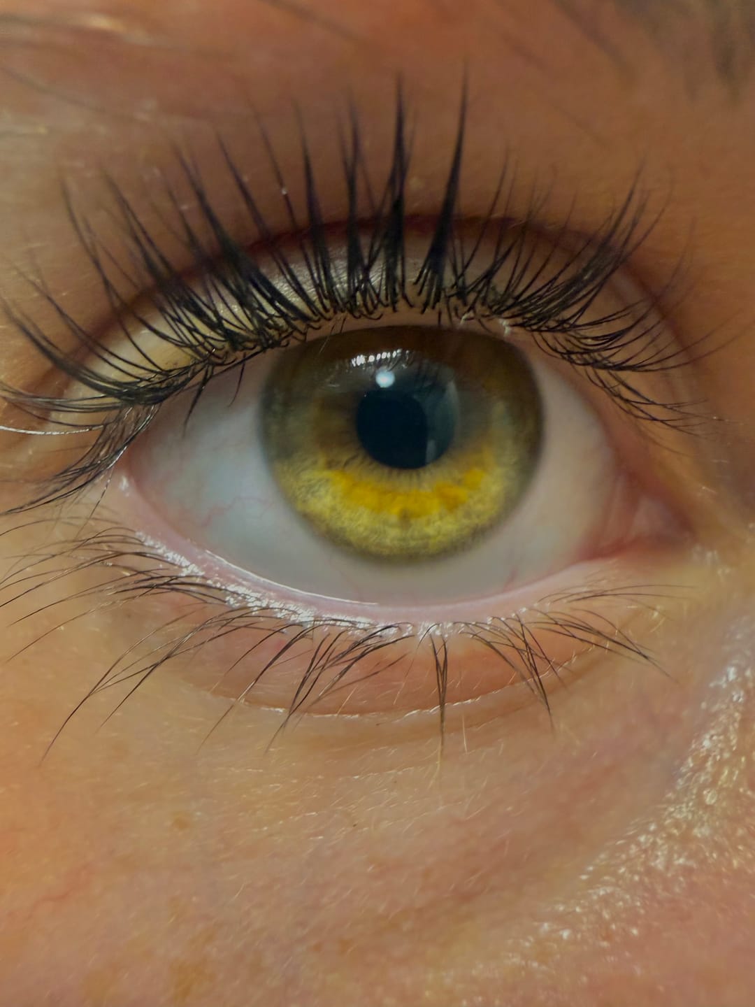 Customer photo review of Pure Care Lash & Brow Lift Pack