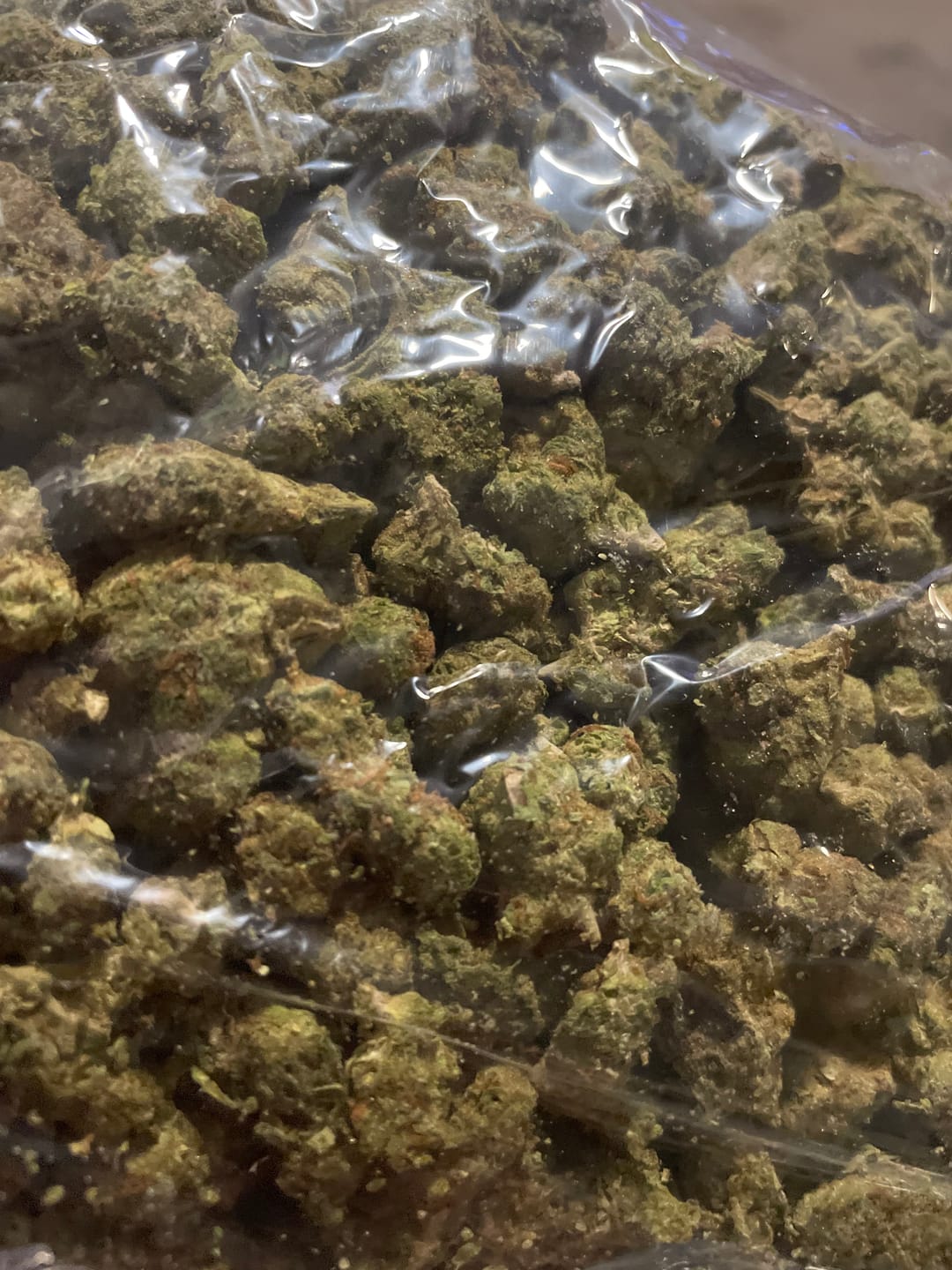 Customer photo review of Purple Punch - Bulk - Indica